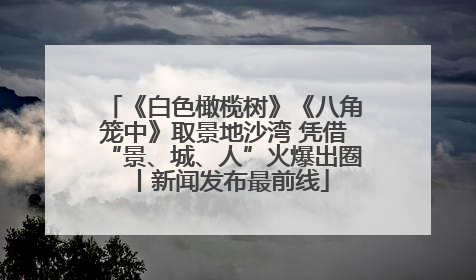 《白色橄榄树》《八角笼中》取景地沙湾 凭借“景、城、人”火爆出圈丨新闻发布最前线