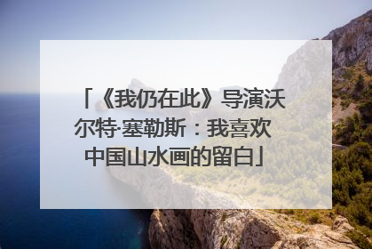 《我仍在此》导演沃尔特·塞勒斯：我喜欢中国山水画的留白
