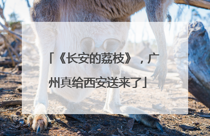 《长安的荔枝》，广州真给西安送来了