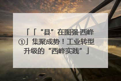 「“县”在图强·西峰①」集聚成势！工业转型升级的“西峰实践”