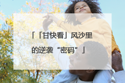 「甘快看」风沙里的逆袭“密码”