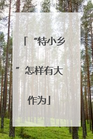 “特小乡”怎样有大作为