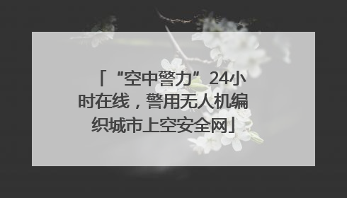 “空中警力”24小时在线，警用无人机编织城市上空安全网