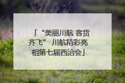 “美丽川航 客货齐飞” 川航精彩亮相第七届西洽会