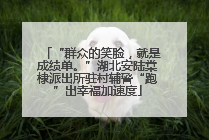 “群众的笑脸，就是成绩单。”湖北安陆棠棣派出所驻村辅警“跑”出幸福加速度