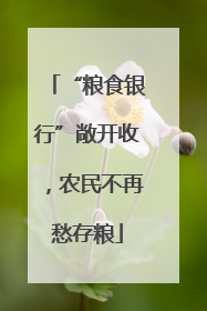 “粮食银行”敞开收，农民不再愁存粮