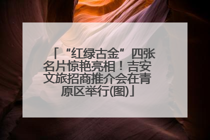 “红绿古金”四张名片惊艳亮相！吉安文旅招商推介会在青原区举行(图)