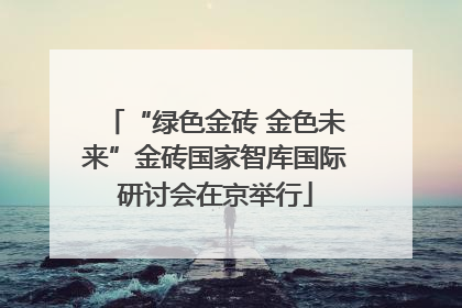 “绿色金砖 金色未来”金砖国家智库国际研讨会在京举行