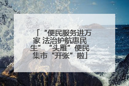“便民服务进万家 法治护航惠民生”“头雁”便民集市“开张”啦