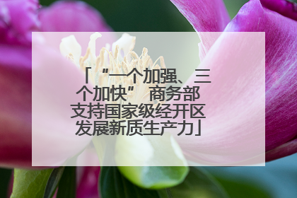 “一个加强、三个加快” 商务部支持国家级经开区发展新质生产力