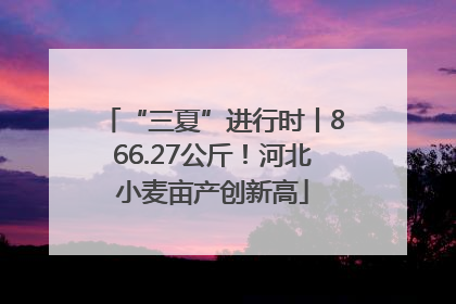 “三夏”进行时丨866.27公斤！河北小麦亩产创新高