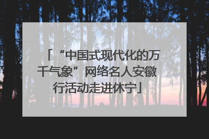 “中国式现代化的万千气象”网络名人安徽行活动走进休宁