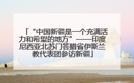 “中国新疆是一个充满活力和希望的地方”——印度尼西亚北苏门答腊省伊斯兰教代表团参访新疆
