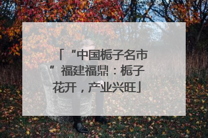 “中国栀子名市”福建福鼎：栀子花开，产业兴旺