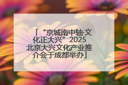 “京城南中轴·文化正大兴”2025北京大兴文化产业推介会于成都举办