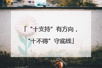 “十支持”有方向，“十不得”守底线
