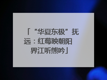 “华夏东极”抚远：红莓映朝阳 界江听熊吟