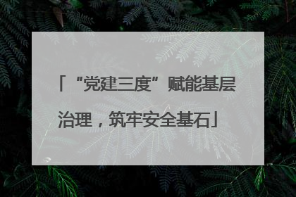 “党建三度”赋能基层治理，筑牢安全基石
