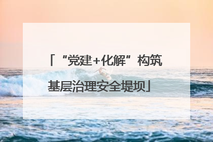 “党建+化解”构筑基层治理安全堤坝
