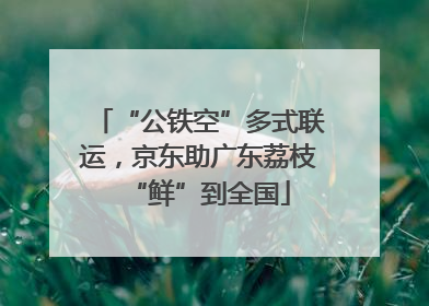 “公铁空”多式联运，京东助广东荔枝“鲜”到全国