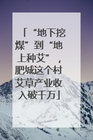 “地下挖煤”到“地上种艾”，肥城这个村艾草产业收入破千万