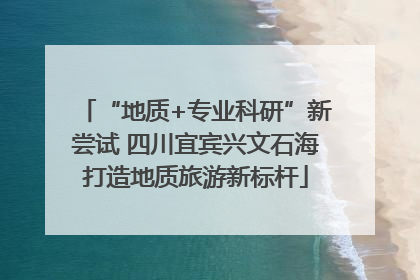 “地质+专业科研”新尝试 四川宜宾兴文石海打造地质旅游新标杆