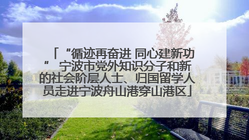 “循迹再奋进 同心建新功” 宁波市党外知识分子和新的社会阶层人士、归国留学人员走进宁波舟山港穿山港区