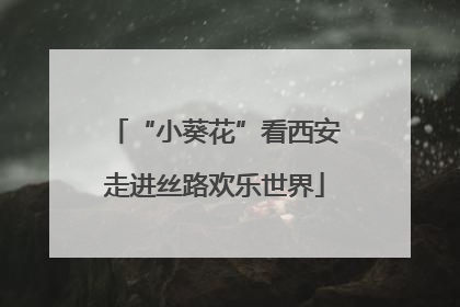 “小葵花”看西安走进丝路欢乐世界