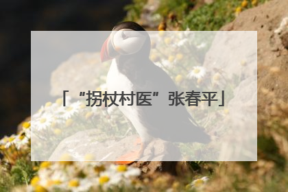 “拐杖村医”张春平