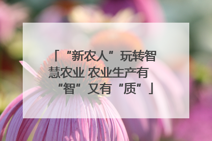 “新农人”玩转智慧农业 农业生产有“智”又有“质”