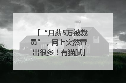“月薪5万被裁员”，网上突然冒出很多！有猫腻