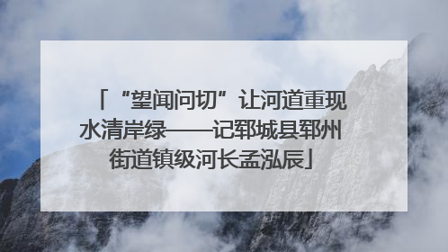 “望闻问切”让河道重现水清岸绿——记郓城县郓州街道镇级河长孟泓辰