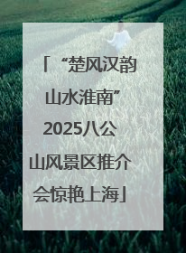 “楚风汉韵 山水淮南”2025八公山风景区推介会惊艳上海