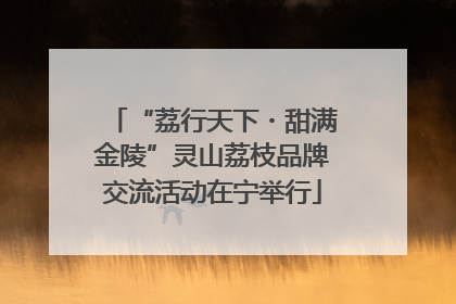 “荔行天下・甜满金陵”灵山荔枝品牌交流活动在宁举行