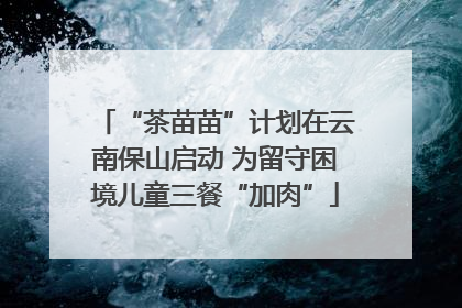 “茶苗苗”计划在云南保山启动 为留守困境儿童三餐“加肉”