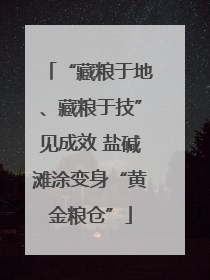 “藏粮于地、藏粮于技”见成效 盐碱滩涂变身“黄金粮仓”