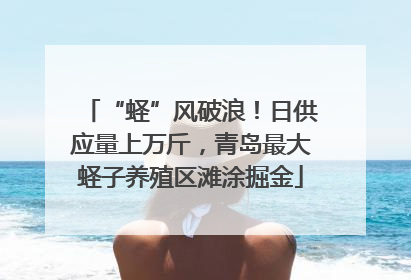 “蛏”风破浪！日供应量上万斤，青岛最大蛏子养殖区滩涂掘金