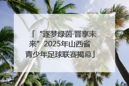 “逐梦绿茵·晋享未来”2025年山西省青少年足球联赛揭幕