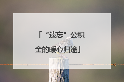 “遗忘”公积金的暖心归途