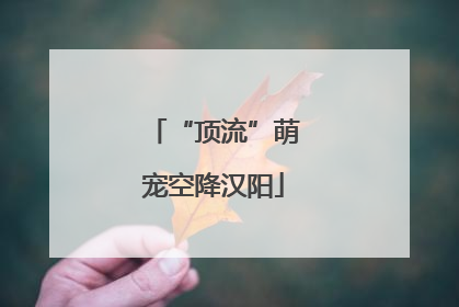 “顶流”萌宠空降汉阳
