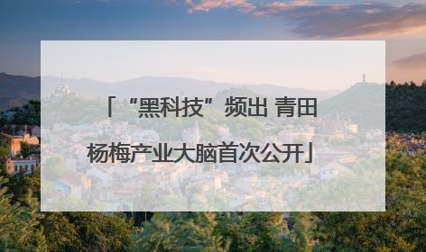“黑科技”频出 青田杨梅产业大脑首次公开