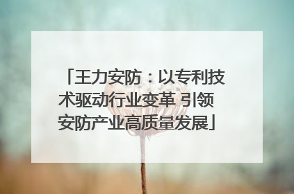 王力安防：以专利技术驱动行业变革 引领安防产业高质量发展