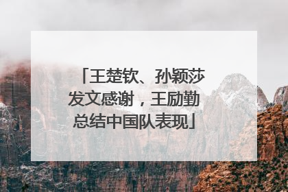 王楚钦、孙颖莎发文感谢，王励勤总结中国队表现
