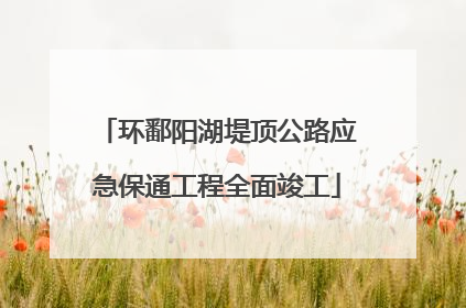 环鄱阳湖堤顶公路应急保通工程全面竣工