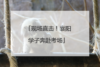 现场直击！襄阳学子奔赴考场