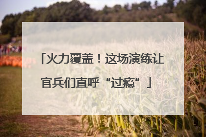 火力覆盖！这场演练让官兵们直呼“过瘾”