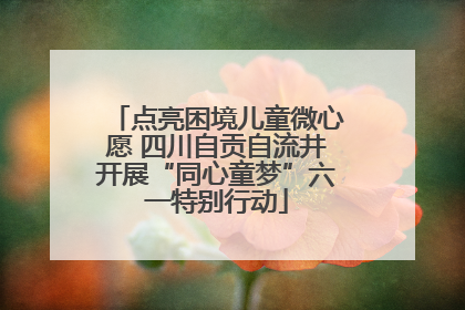 点亮困境儿童微心愿 四川自贡自流井开展“同心童梦”六一特别行动