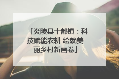 炎陵县十都镇：科技赋能农耕 绘就美丽乡村新画卷