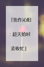 焦作沁阳：趁天抢时麦收忙