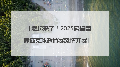 燃起来了！2025鹤壁国际匹克球邀请赛激情开赛